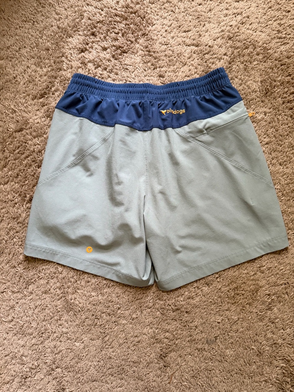 Birddogs Gym Shorts 6” Short - Picture 2 of 4